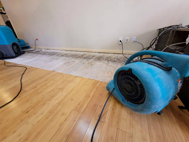 Professional Water Removal technician working in Grapeview, WA